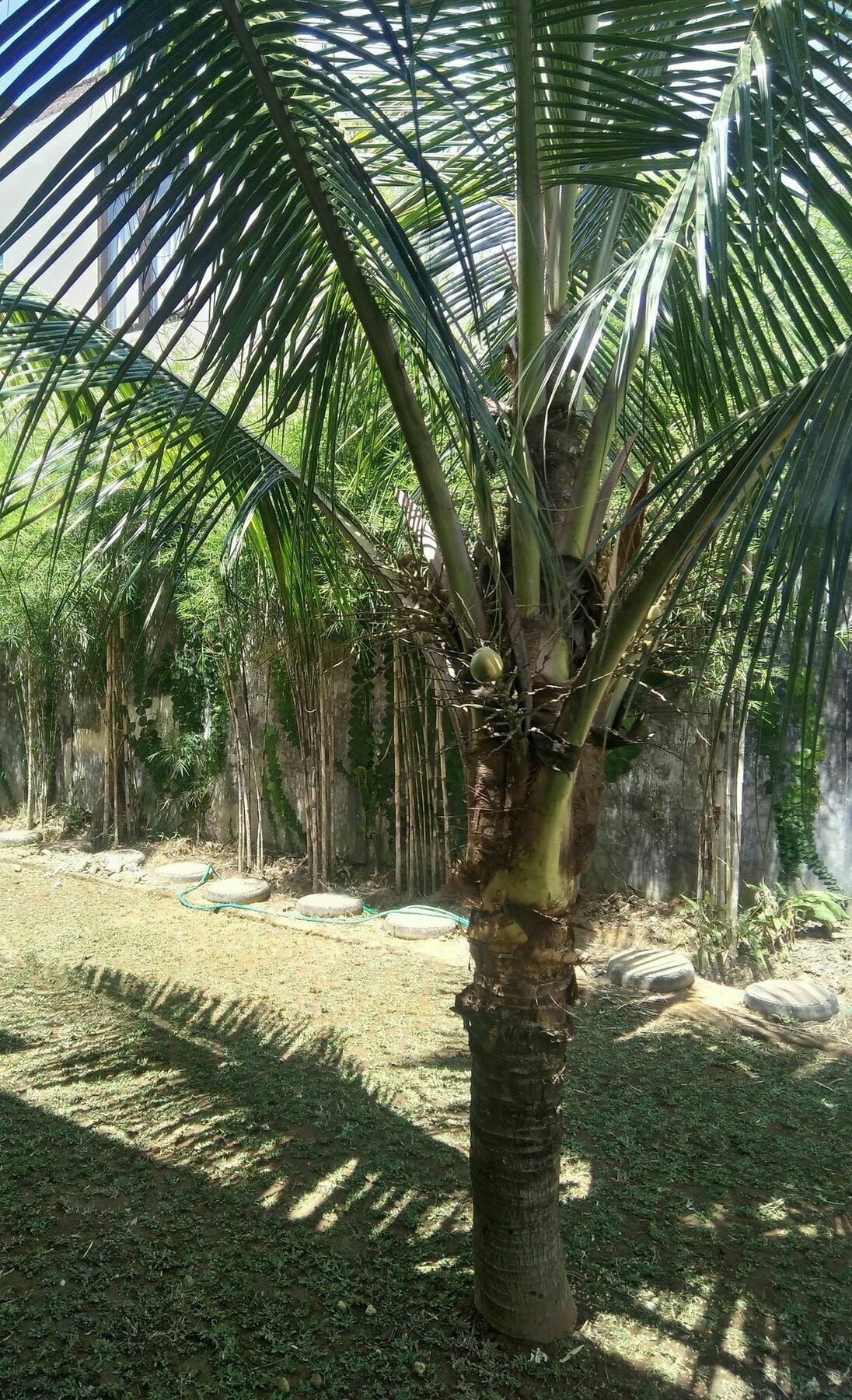 Sayan Ubud Guest House Luaran gambar